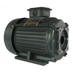 Motor thủy lực
