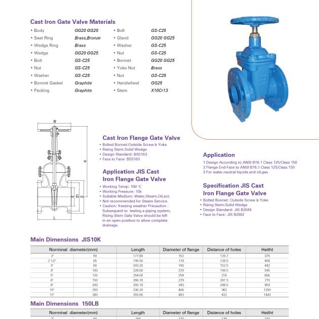 CAST IRON FLANGE GATE VALVE